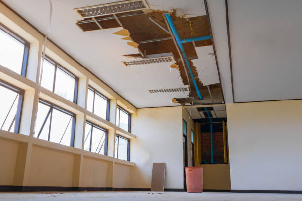 Best Water damage restoration specialists  in Thayer, MO