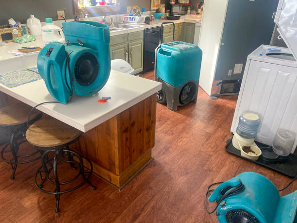 Best Water damage contractors near me  in Thayer, MO