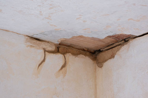 Best Local water damage restoration  in Thayer, MO