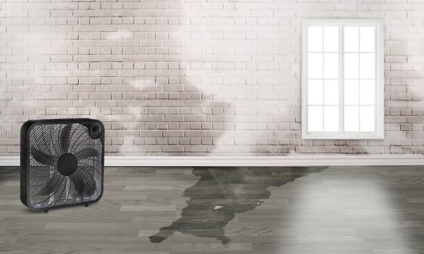 Best Sewage cleanup and water damage restoration  in Thayer, MO