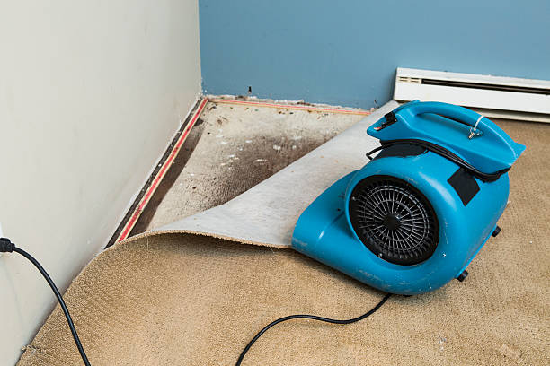Best Residential water damage restoration  in Thayer, MO